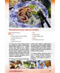 Tradičná babičkina kuchárka 4 - Chalupárske a záhradkárske recepty